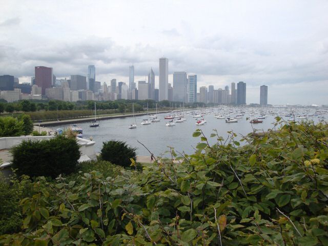 chicago057.jpg