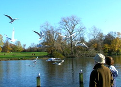 Kensington Gardens, London