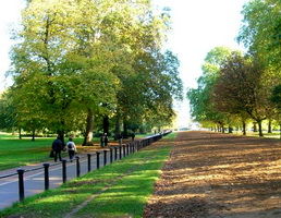 Rotten Row, Hyde Park, London