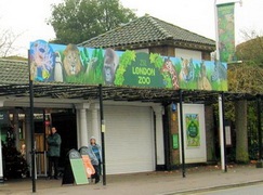 London Zoo